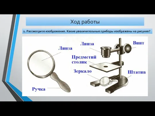 Ход работы 1. Рассмотрите изображения. Какие увеличительные приборы изображены на рисунке?