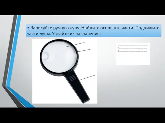 2.Зарисуйте ручную лупу. Найдите основные части. Подпишите части лупы. Узнайте их назначение.