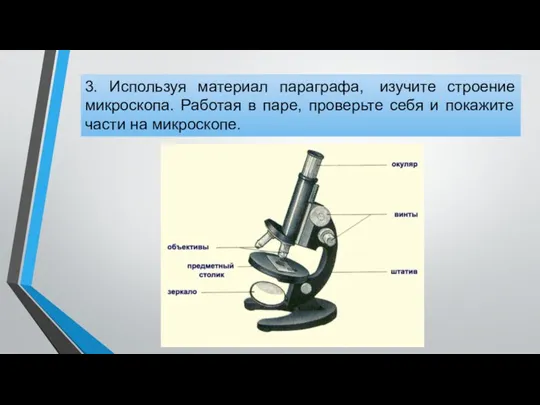 3. Используя материал параграфа, изучите строение микроскопа. Работая в паре,