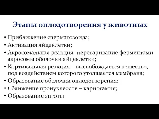 Приближение сперматозоида; Активация яйцеклетки; Акросомальная реакция- переваривание ферментами акросомы оболочки