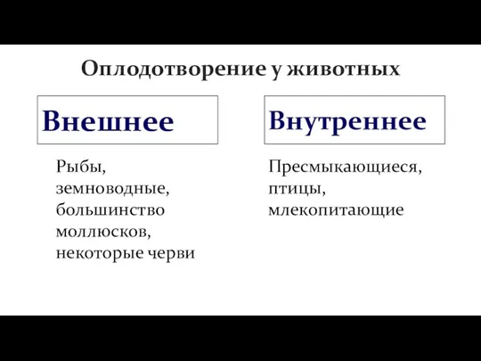 Оплодотворение у животных Внешнее Внутреннее Рыбы, земноводные, большинство моллюсков, некоторые черви Пресмыкающиеся, птицы, млекопитающие