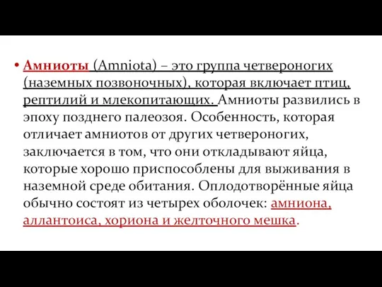 Амниоты (Amniota) – это группа четвероногих (наземных позвоночных), которая включает