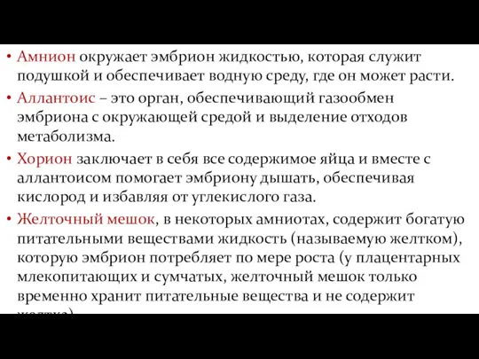 Амнион окружает эмбрион жидкостью, которая служит подушкой и обеспечивает водную