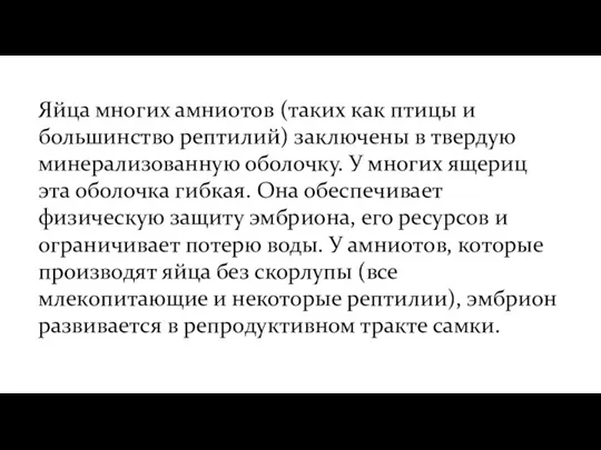 Яйца многих амниотов (таких как птицы и большинство рептилий) заключены