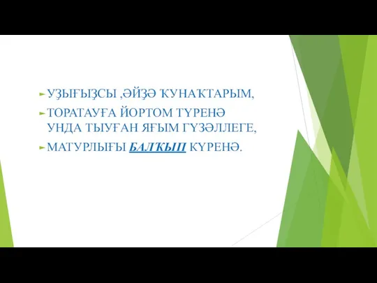 УҘЫҒЫҘСЫ ,ӘЙҘӘ ҠУНАҠТАРЫМ, ТОРАТАУҒА ЙОРТОМ ТҮРЕНӘ УНДА ТЫУҒАН ЯҒЫМ ГҮЗӘЛЛЕГЕ, МАТУРЛЫҒЫ БАЛҠЫП КҮРЕНӘ.