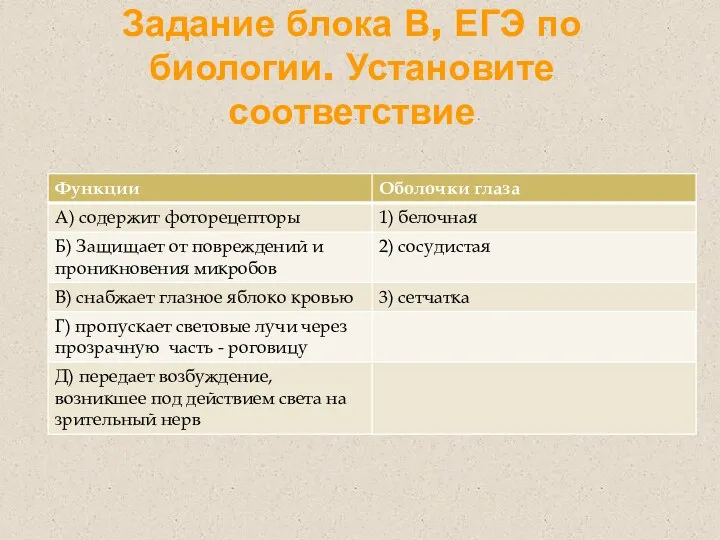 Задание блока В, ЕГЭ по биологии. Установите соответствие