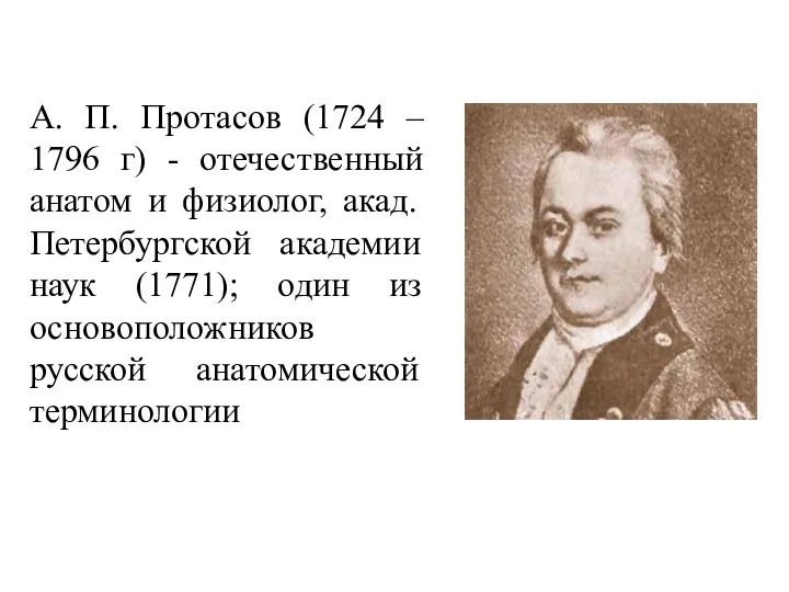А. П. Протасов (1724 – 1796 г) - отечественный анатом