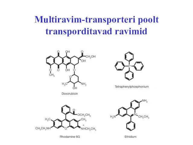 Multiravim-transporteri poolt transporditavad ravimid