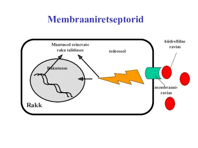 Membraaniretseptorid