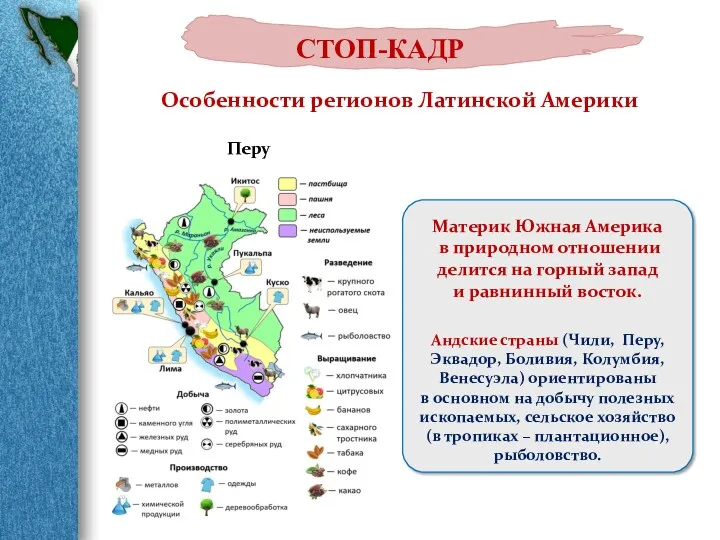 Особенности регионов Латинской Америки Материк Южная Америка в природном отношении делится на горный