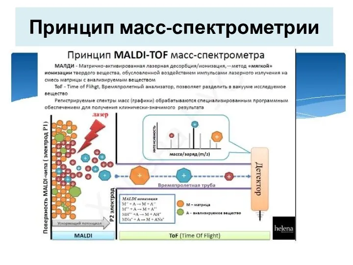 Принцип масс-спектрометрии