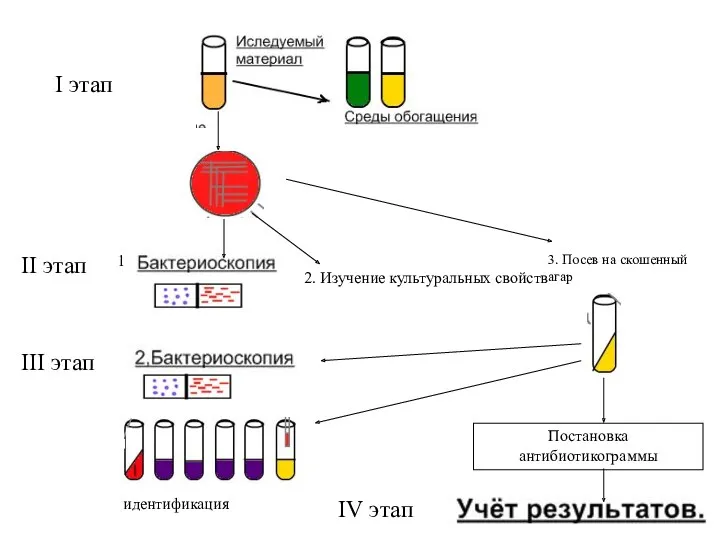 I этап II этап 2. Изучение культуральных свойств 1 3.