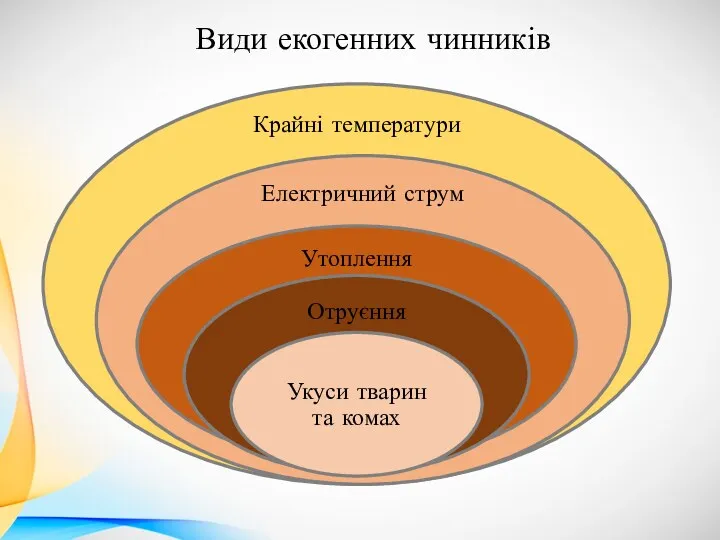 Види екогенних чинників