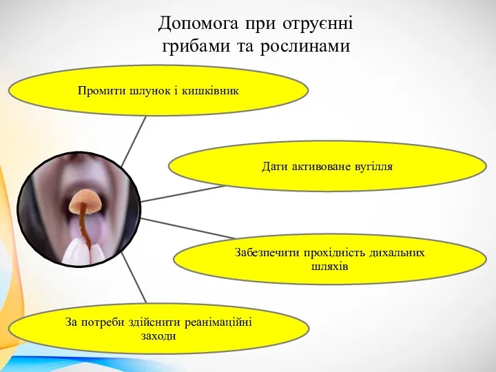 Допомога при отруєнні грибами та рослинами