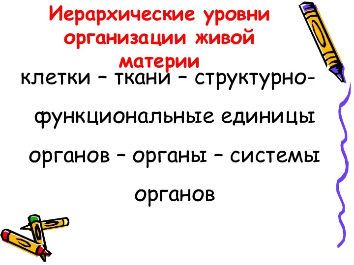 Иерархические уровни организации живой материи клетки – ткани – структурно-функциональные