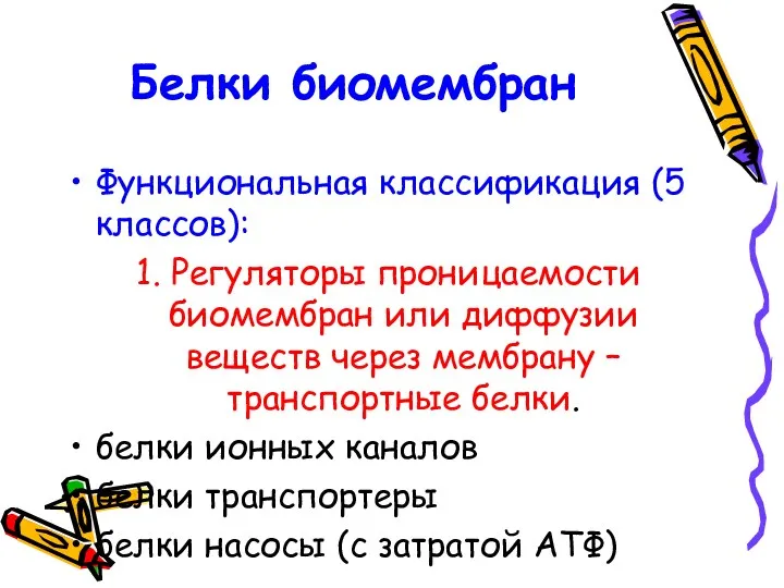 Белки биомембран Функциональная классификация (5 классов): 1. Регуляторы проницаемости биомембран