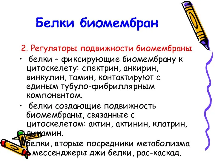 Белки биомембран 2. Регуляторы подвижности биомембраны белки – фиксирующие биомембрану