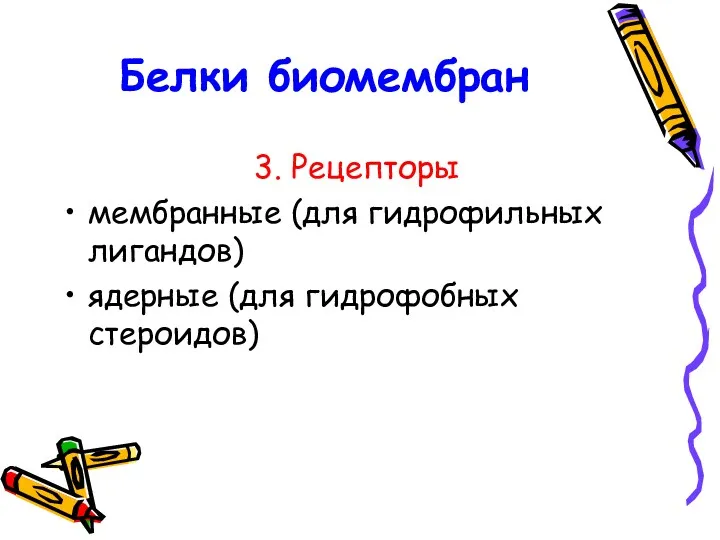 Белки биомембран 3. Рецепторы мембранные (для гидрофильных лигандов) ядерные (для гидрофобных стероидов)