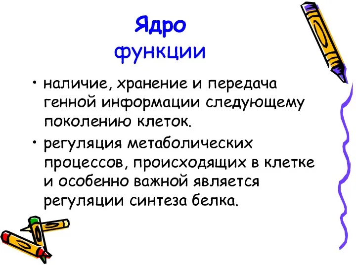 Ядро функции наличие, хранение и передача генной информации следующему поколению