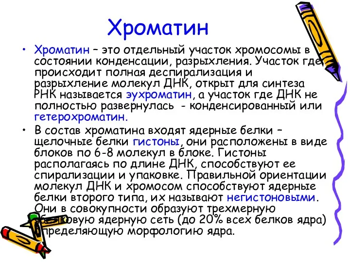 Хроматин Хроматин – это отдельный участок хромосомы в состоянии конденсации,