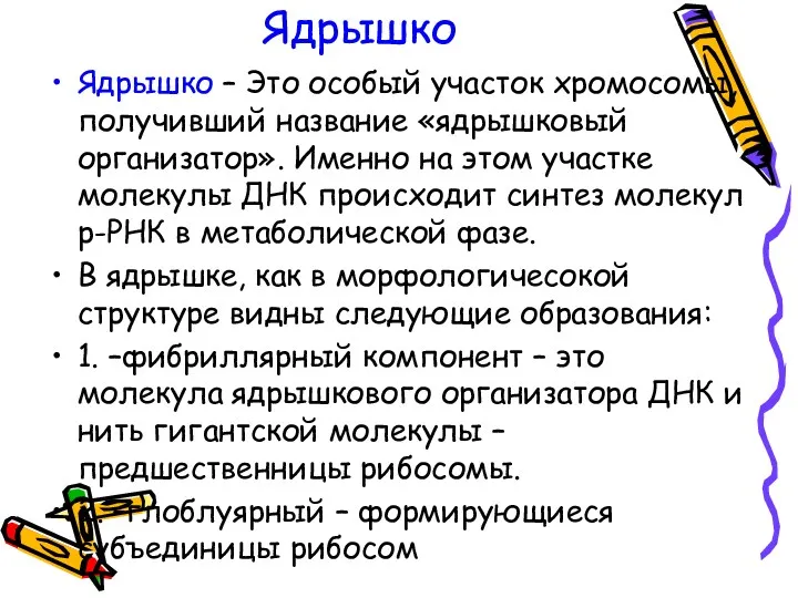 Ядрышко Ядрышко – Это особый участок хромосомы, получивший название «ядрышковый