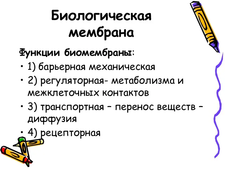 Биологическая мембрана Функции биомембраны: 1) барьерная механическая 2) регуляторная- метаболизма