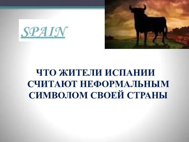 SPAIN ЧТО ЖИТЕЛИ ИСПАНИИ СЧИТАЮТ НЕФОРМАЛЬНЫМ СИМВОЛОМ СВОЕЙ СТРАНЫ