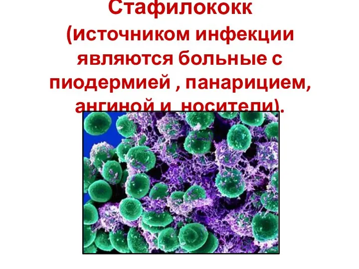 Стафилококк (источником инфекции являются больные с пиодермией , панарицием, ангиной и носители).