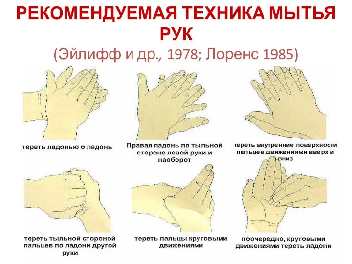 РЕКОМЕНДУЕМАЯ ТЕХНИКА МЫТЬЯ РУК (Эйлифф и др., 1978; Лоренс 1985)