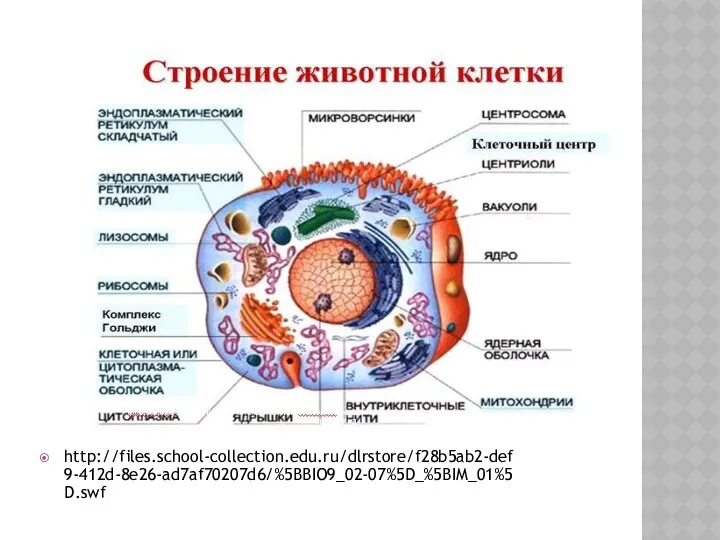 http://files.school-collection.edu.ru/dlrstore/f28b5ab2-def9-412d-8e26-ad7af70207d6/%5BBIO9_02-07%5D_%5BIM_01%5D.swf