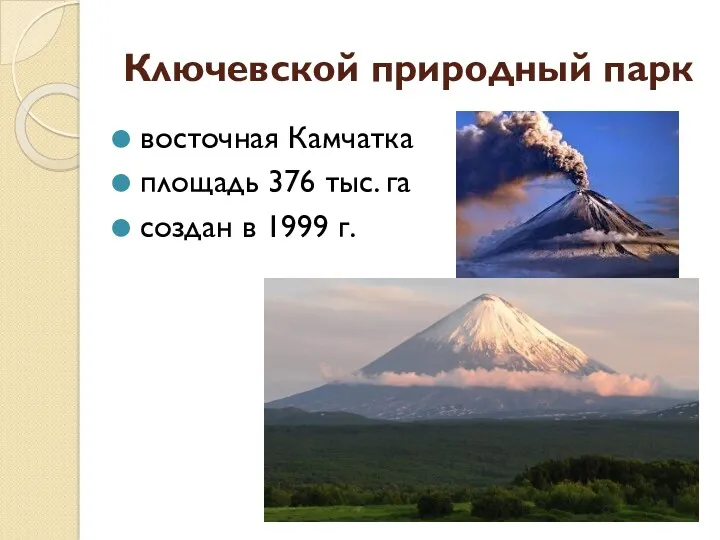 Ключевской природный парк восточная Камчатка площадь 376 тыс. га создан в 1999 г.