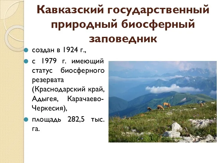 Кавказский государственный природный биосферный заповедник создан в 1924 г., с