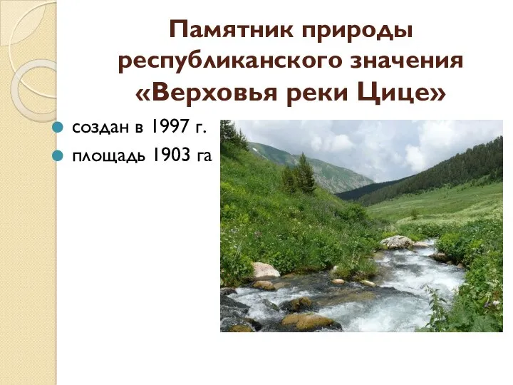 Памятник природы республиканского значения «Верховья реки Цице» создан в 1997 г. площадь 1903 га