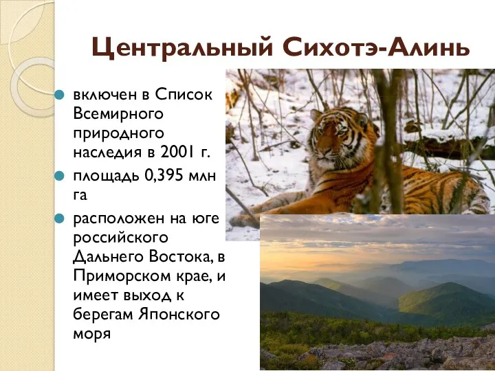 Центральный Сихотэ-Алинь включен в Список Всемирного природного наследия в 2001