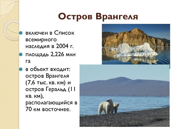 Остров Врангеля включен в Список всемирного наследия в 2004 г.