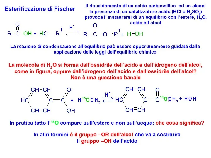 Esterificazione di Fischer Il riscaldamento di un acido carbossilico ed