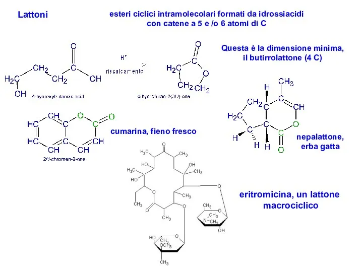 Lattoni esteri ciclici intramolecolari formati da idrossiacidi con catene a