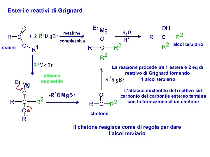 Esteri e reattivi di Grignard estere chetone alcol terziario La