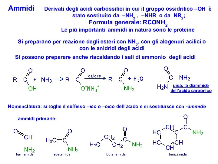 Ammidi Derivati degli acidi carbossilici in cui il gruppo ossidrilico