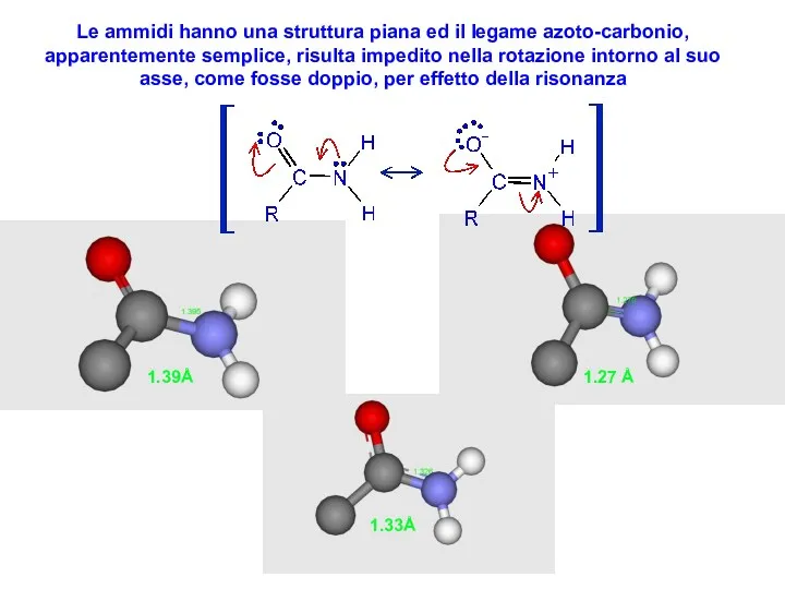 Le ammidi hanno una struttura piana ed il legame azoto-carbonio,