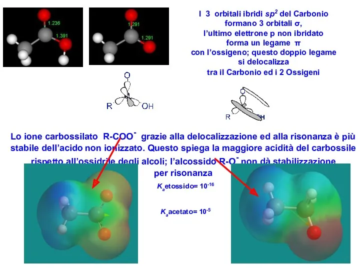 I 3 orbitali ibridi sp2 del Carbonio formano 3 orbitali