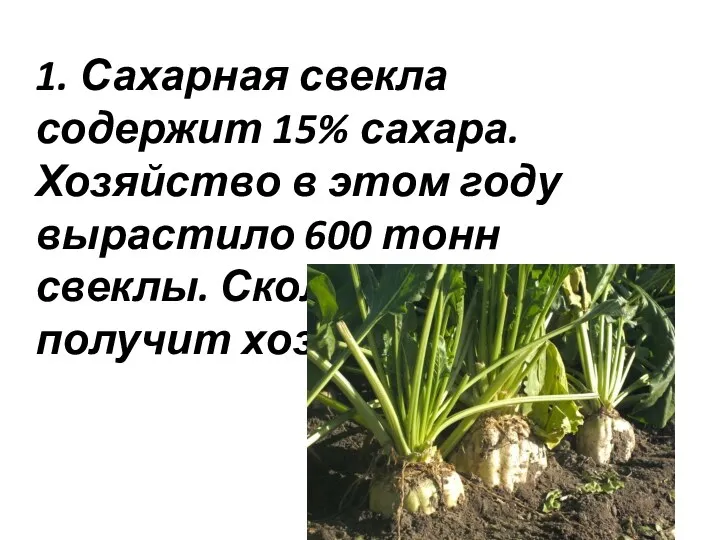 1. Сахарная свекла содержит 15% сахара. Хозяйство в этом году