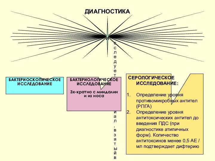 ДИАГНОСТИКА Исследуется материал, взятый в зоне воспаления по краям фибриновой