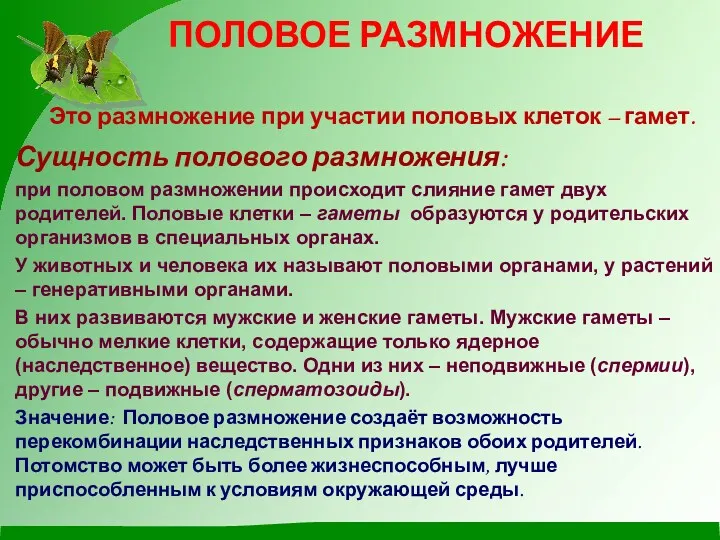 ПОЛОВОЕ РАЗМНОЖЕНИЕ Это размножение при участии половых клеток – гамет.