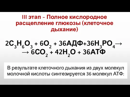 2С3Н6О3 + 6О2 + 36АДФ+36Н3РО4→ → 6СО2 + 42Н2О +