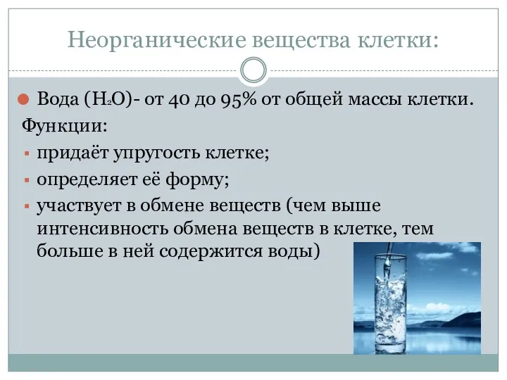 Неорганические вещества клетки: Вода (Н2О)- от 40 до 95% от