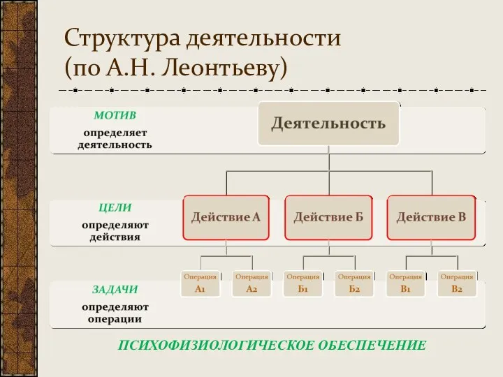 Структура деятельности (по А.Н. Леонтьеву) ПСИХОФИЗИОЛОГИЧЕСКОЕ ОБЕСПЕЧЕНИЕ