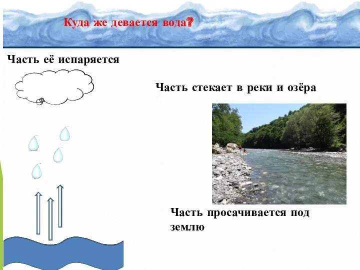 Куда же девается вода? Часть её испаряется Часть стекает в