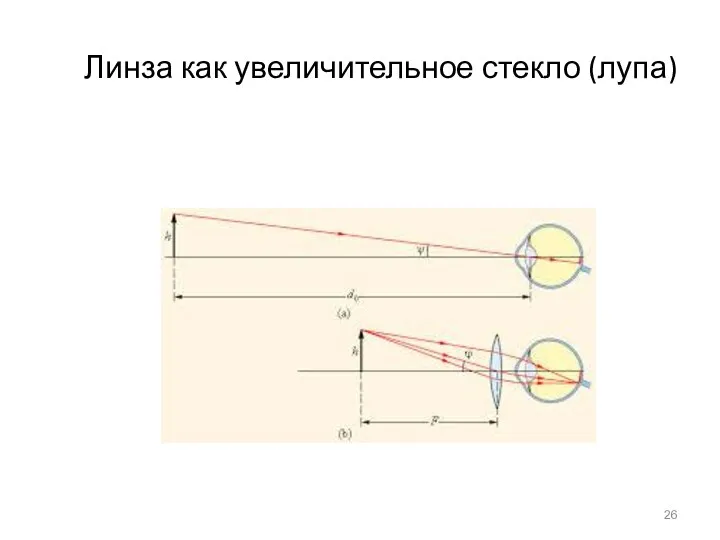 Линза как увеличительное стекло (лупа)