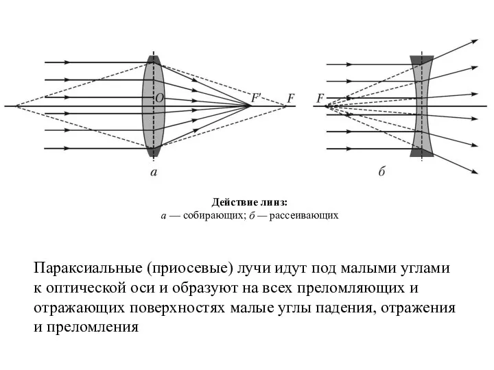 Действие линз: а — собирающих; б — рассеивающих Параксиальные (приосевые)